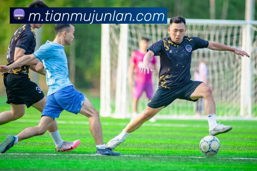 App Interface Preview